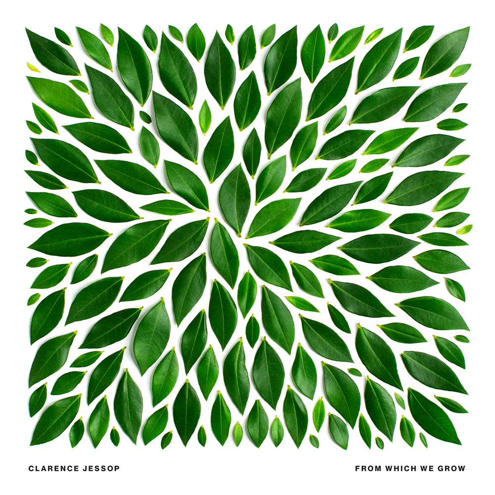 From Which We Grow album cover